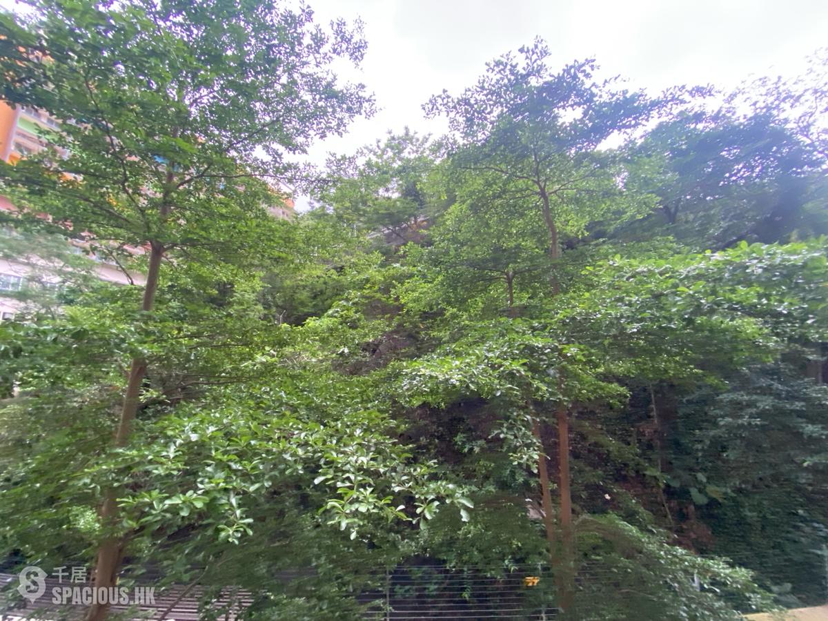 Shau Kei Wan - Island Garden Block 2 01