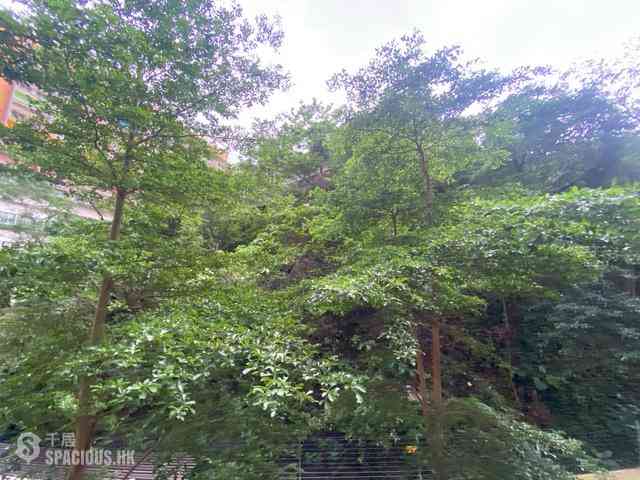 Shau Kei Wan - Island Garden Block 2 01