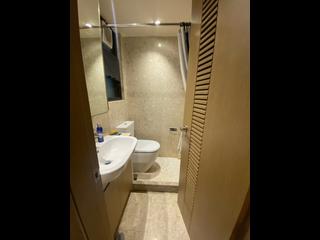 Shau Kei Wan - Island Garden Block 2 09