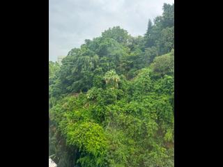 西灣河 - 碧麗閣A座 13