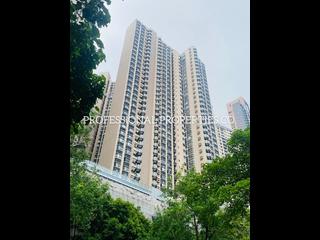 跑馬地 - 比華利山 16