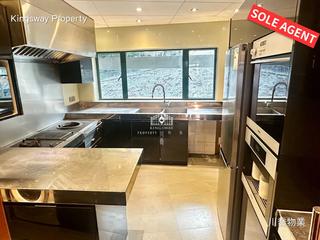 Mid Levels Central - Ivory Court 05