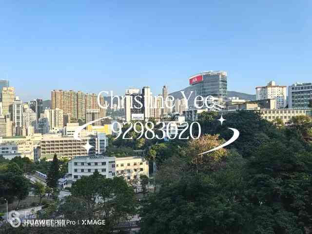 湾仔 - 尚翘峰 01