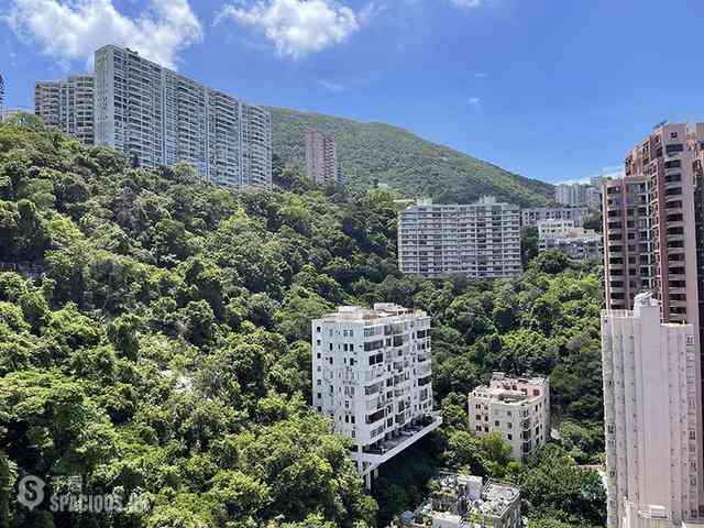 跑馬地 - 紀雲峰 02