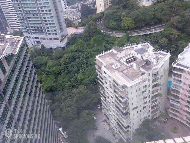 Mid Levels Central - Birchwood Place 07