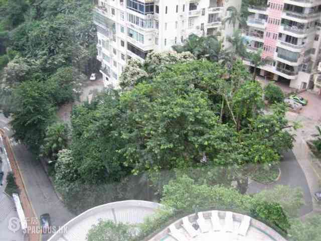 Mid Levels Central - Birchwood Place 08