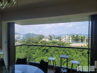 Shau Kei Wan - Island Garden Block 2 07
