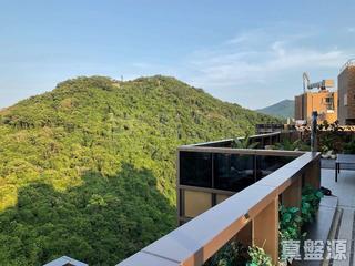 Shau Kei Wan - Island Garden Block 2 12