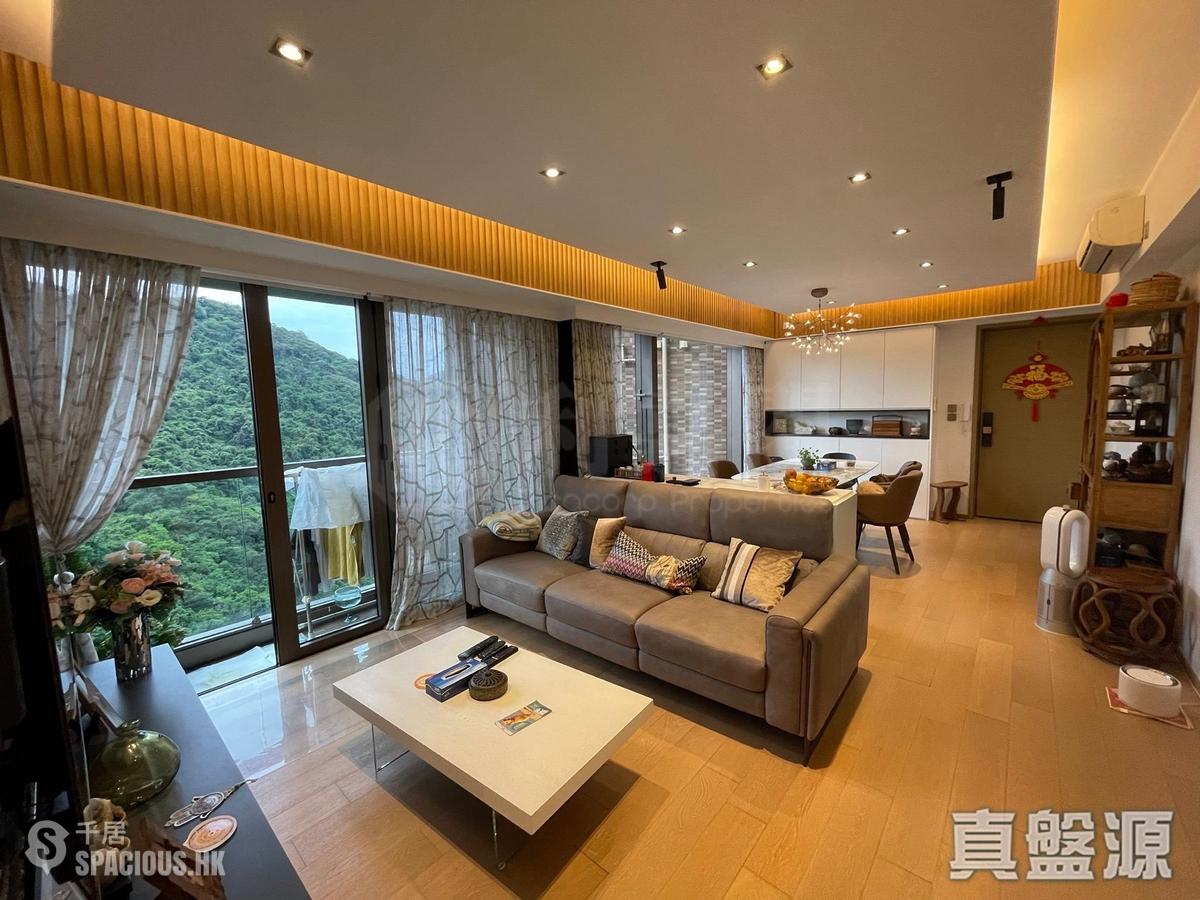 Shau Kei Wan - Island Garden Block 1 01