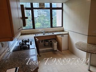 Mid Levels Central - Fairlane Tower 09