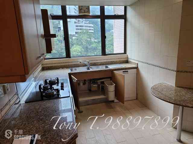 Mid Levels Central - Fairlane Tower 09