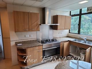 Mid Levels Central - Fairlane Tower 10