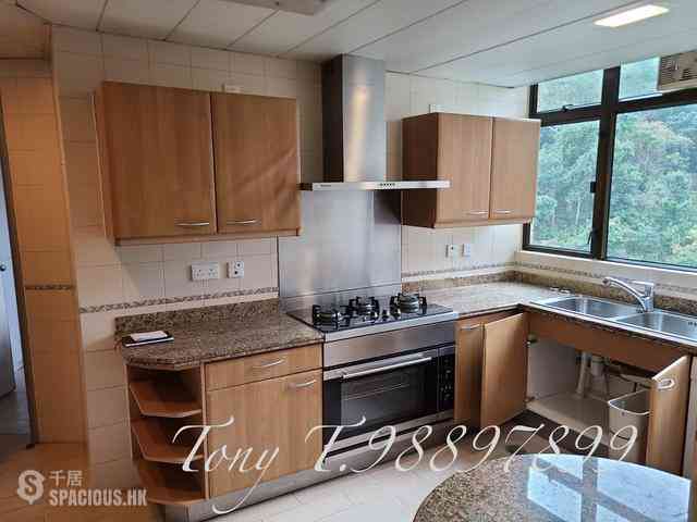 Mid Levels Central - Fairlane Tower 10