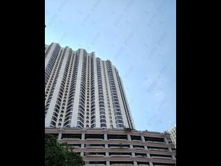 東半山 - 竹林苑82号 06