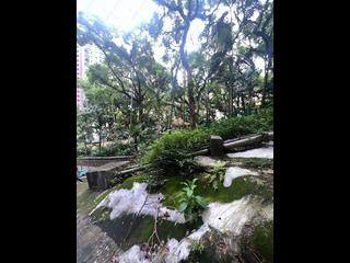 西半山 - 豪华大厦 10