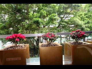 Kennedy Town - The Hudson 19
