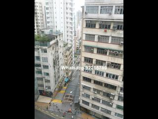 Sai Ying Pun - Golden Phoenix Court 04