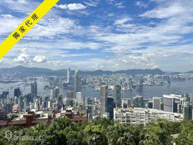 The Peak - 56 Plantation Road 03