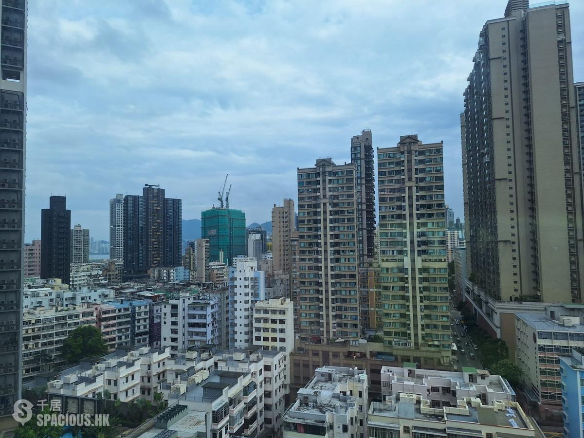 土瓜湾 - 帝庭豪园 01