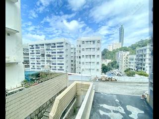 Happy Valley - Broom Garden 07