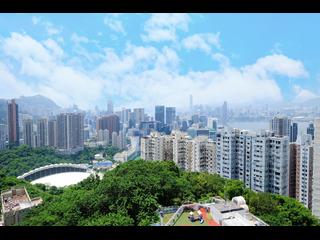 大坑 - 金云阁60号 34