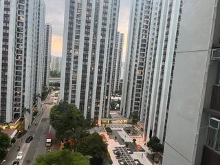 太古城 - 太古城 高山台 富山阁 (18座) 06