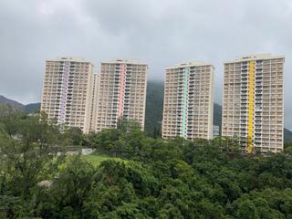 渣甸山 - 畢拉山道111號 14
