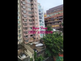 Shek Tong Tsui - Eivissa Crest 02