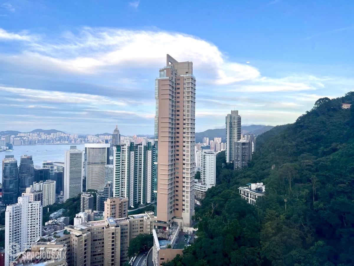 中半山 - 世纪大厦2座 01