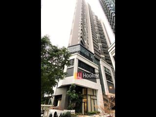 Sai Ying Pun - The Summa 10