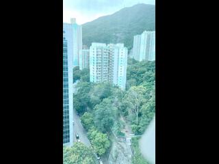 西灣河 - 新成中心C座 02