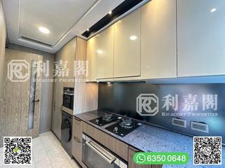 Clear Water Bay - Mount Pavilia 03