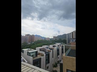 Siu Lam - Jade Grove 25