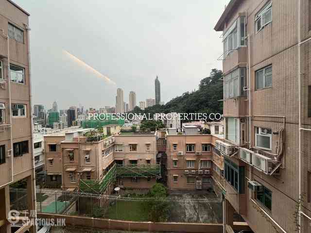 Happy Valley - Green Lane Court 12