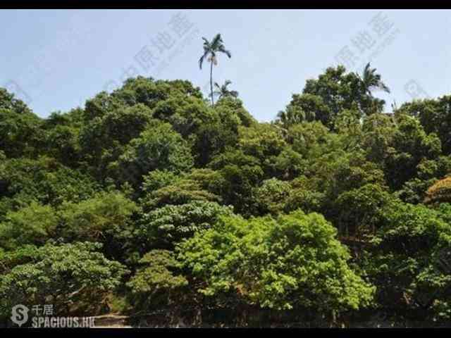 薄扶林 - 碧瑤灣 01
