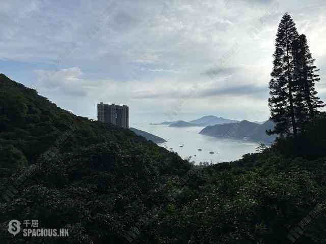 浅水湾 - 海峰园 浅水湾道19B号 01