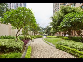 大角咀 - 维港湾5座 02