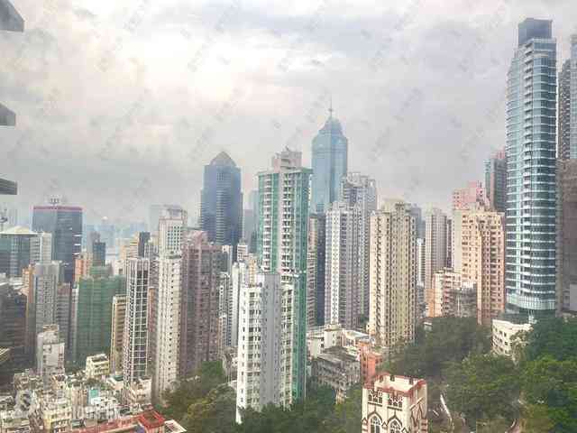 西半山 - 罗便臣道80号1座 08