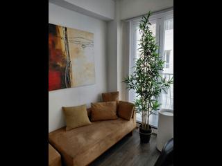 Soho - 6, Elgin Street 03