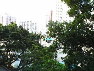 北角 - 康德大廈 09