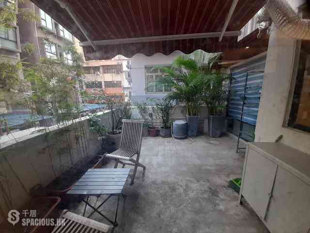 Poho - Holly Court 01