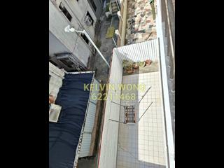 西貢 - 榕樹澳 19
