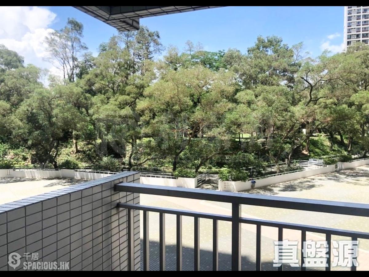 宝马山 - 赛西湖大厦 01
