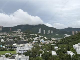 黃竹坑 - 港岛南岸4B期 12