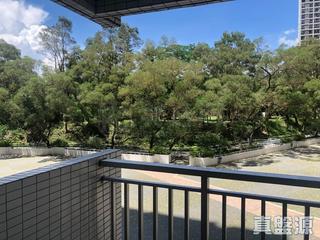 宝马山 - 赛西湖大厦3座 12