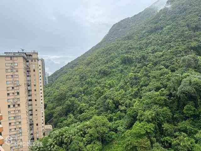 西半山 - 碧苑大廈 15