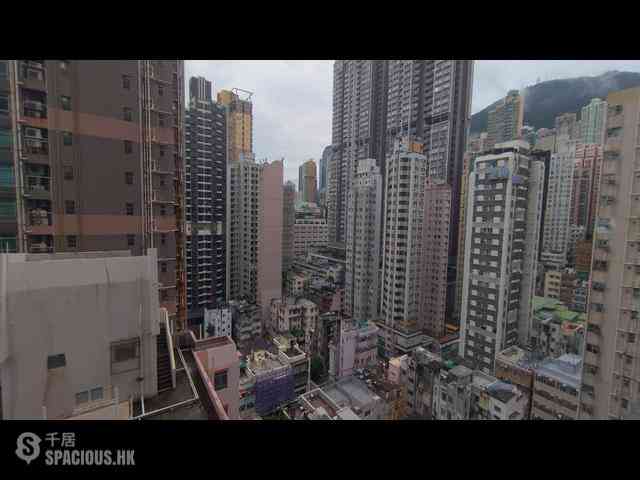 Sai Ying Pun - Artisan House 05