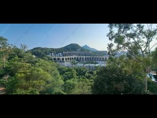 Deep Water Bay - Manderly Garden 07
