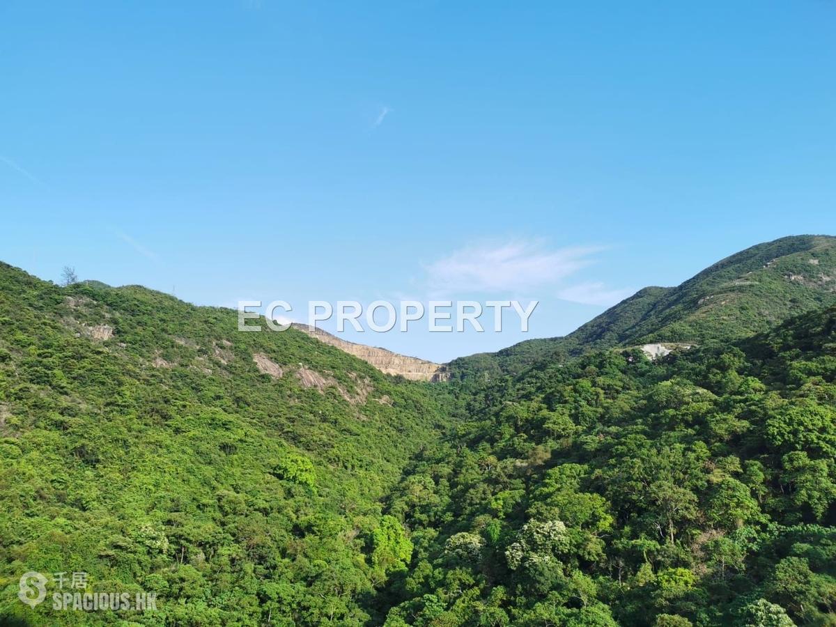 Tai Hang - Ronsdale Garden 01