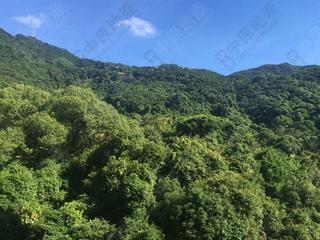 西半山 - 杏彤苑 06